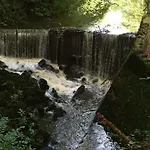 The Pinfold