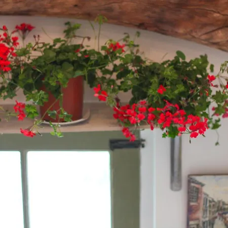 The Pinfold Guest house 3*