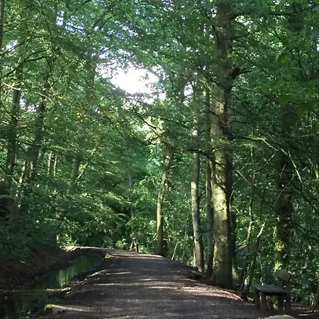 The Pinfold