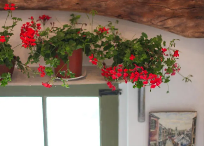 The Pinfold Guest house 3*