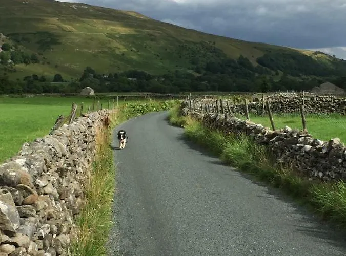 Guest house The Pinfold 3*