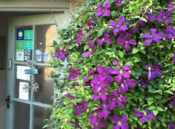 The Pinfold 3* Skipton