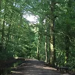 The Pinfold