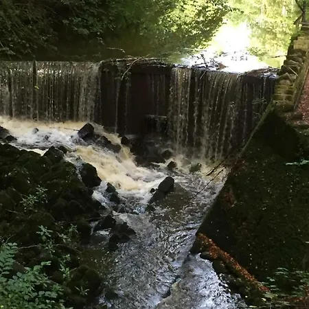 The Pinfold